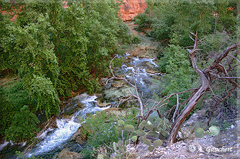 Havasu Creek